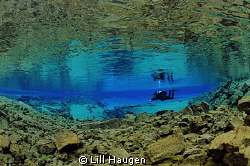 In "Silfra" in Iceland you dive inside the crack that geo... by Lill Haugen 